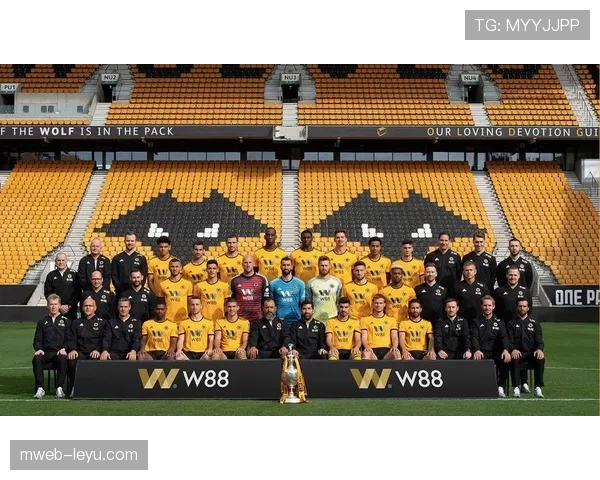 狼队复兴：英超新贵强势崛起，突破在即引燃未来期待